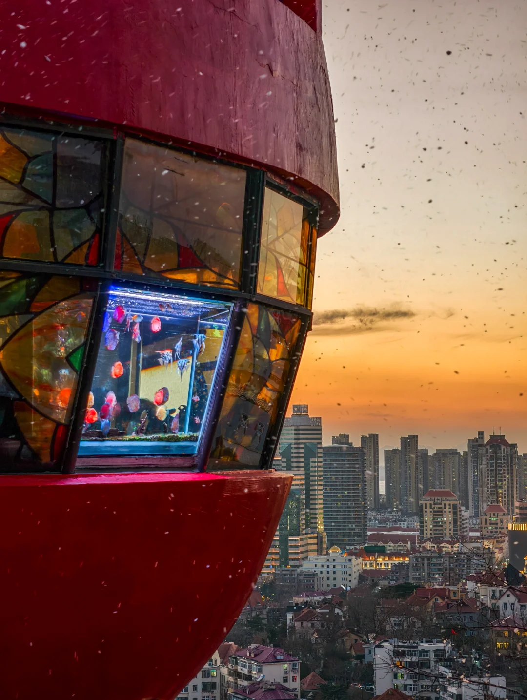 青岛12.18实况！被信号山的蓝调时刻惊艳