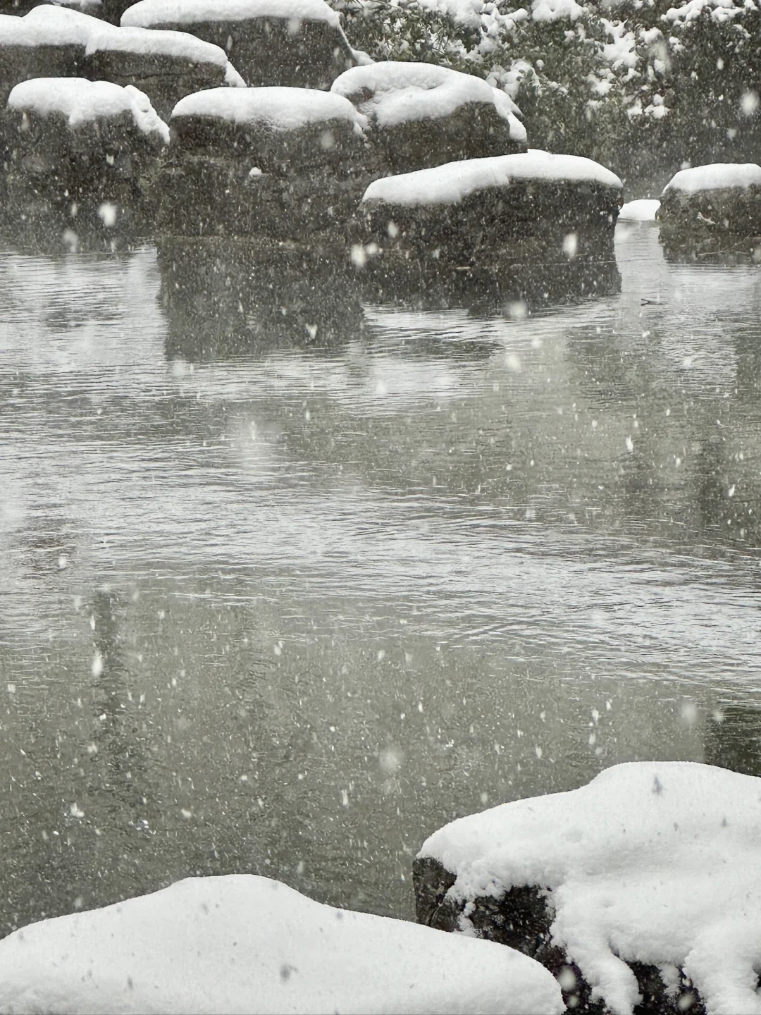 济南！雪中趵突泉杀疯了！！！！！！！！！！！！