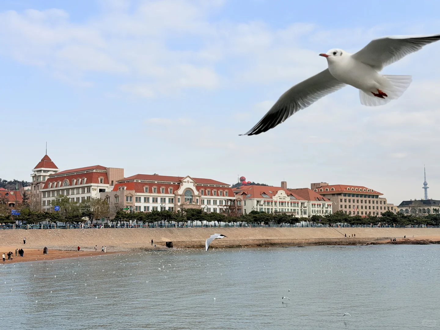 青岛三天两夜懒人路线｜老城·山海·松弛感