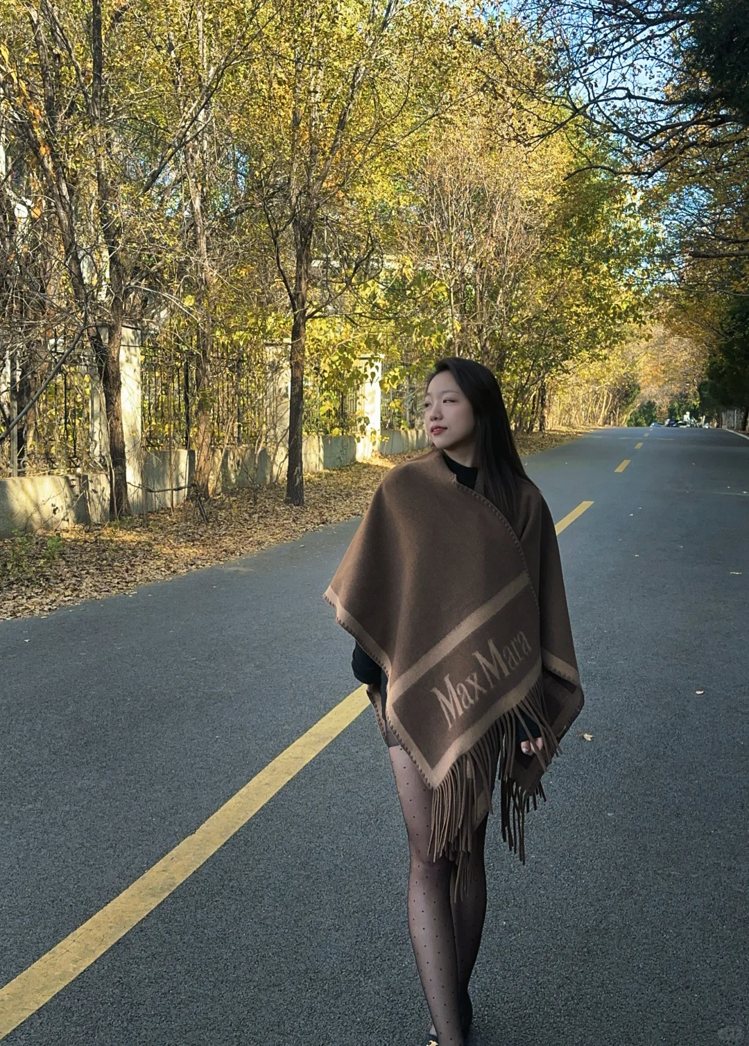 千佛山西路的晚秋🍂