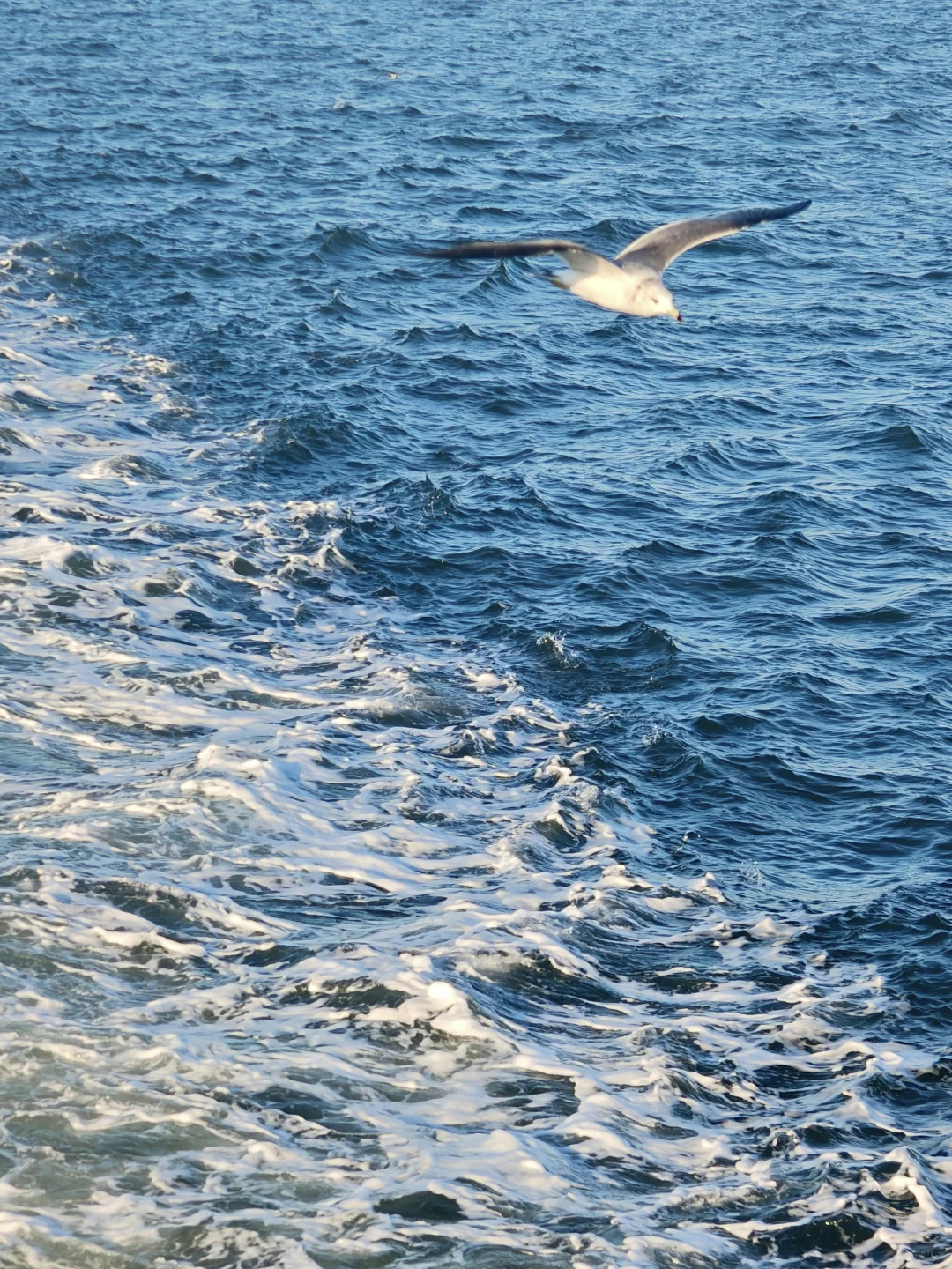 如果你只有一天时间在青岛