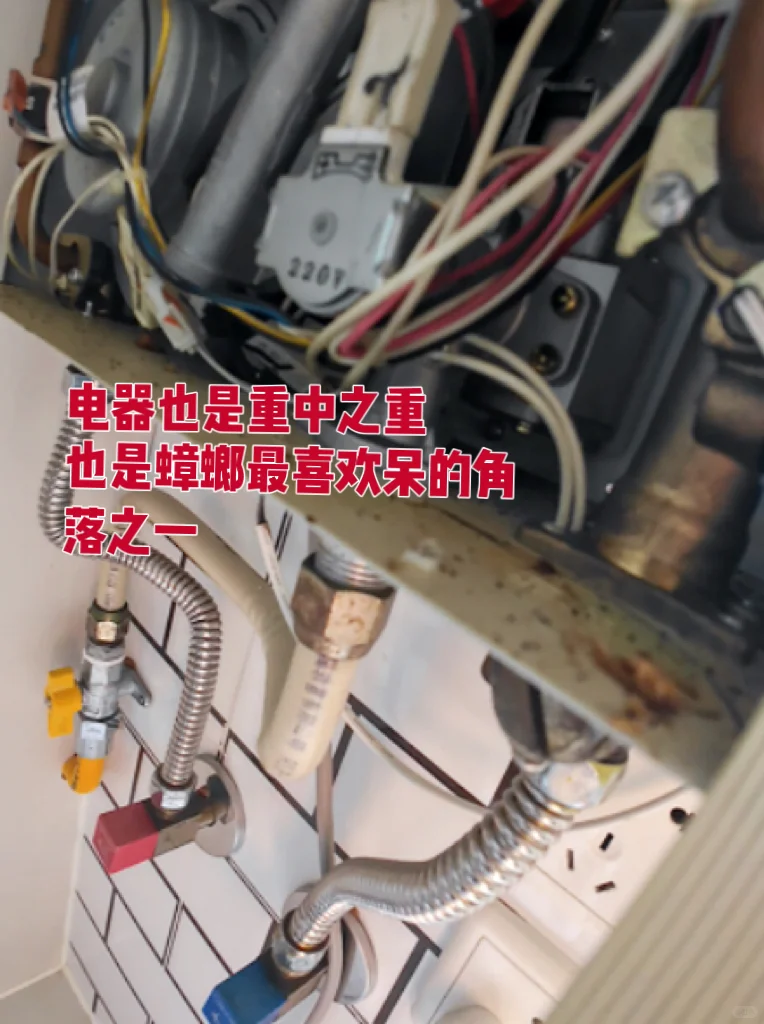 268的除虫套餐，千万别错过！（仅限济南）