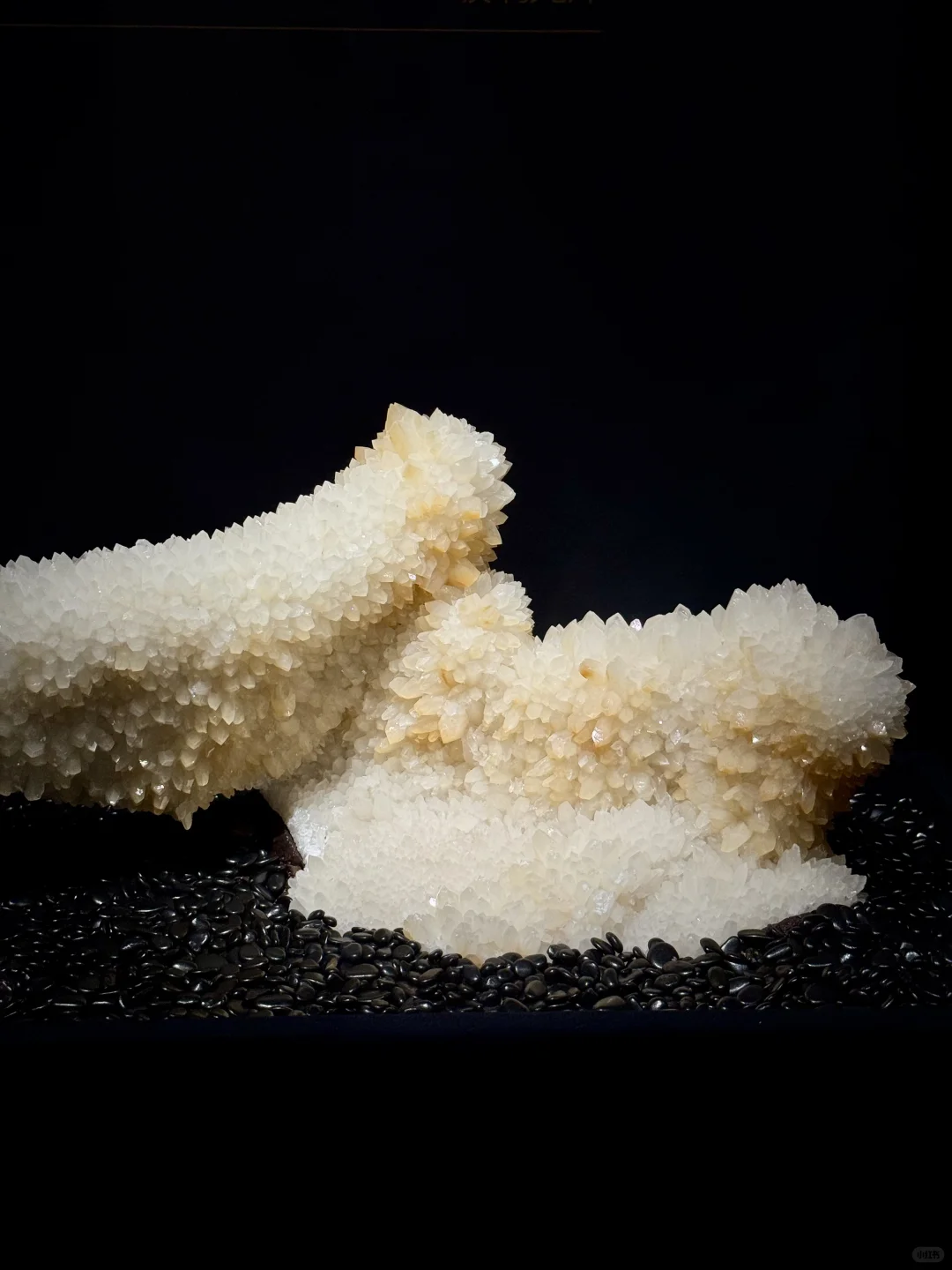 山东博物馆欠全国一个解释？？？？？？？？？？