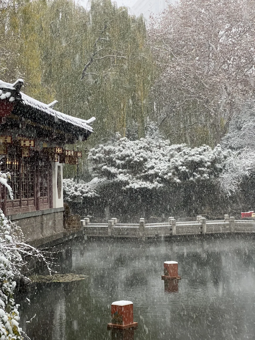 济南12.12实况。。。暴雪中的趵突泉杀疯了！！