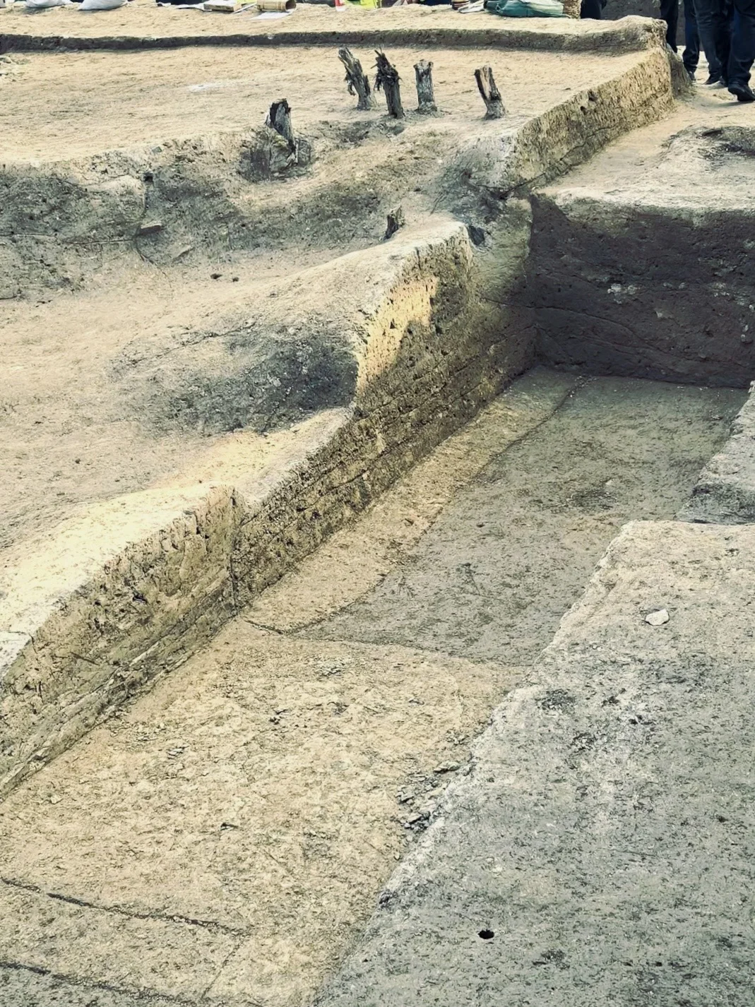 “宜居城市？”济南是“世袭制”的，不服不行！