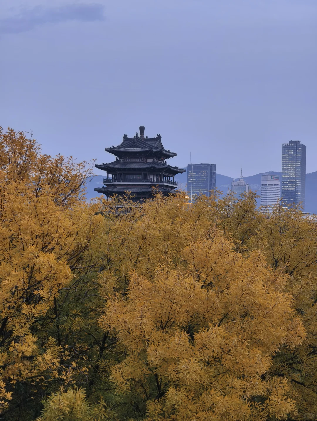 老舍没骗人秋天请到济南来看看吧