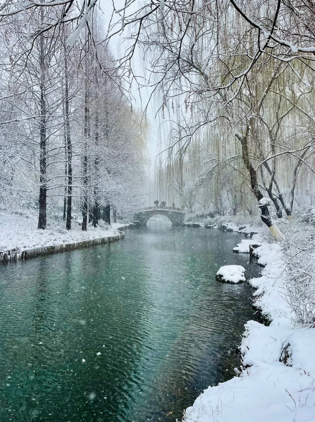 暴雪中的济南府已经美到了next level