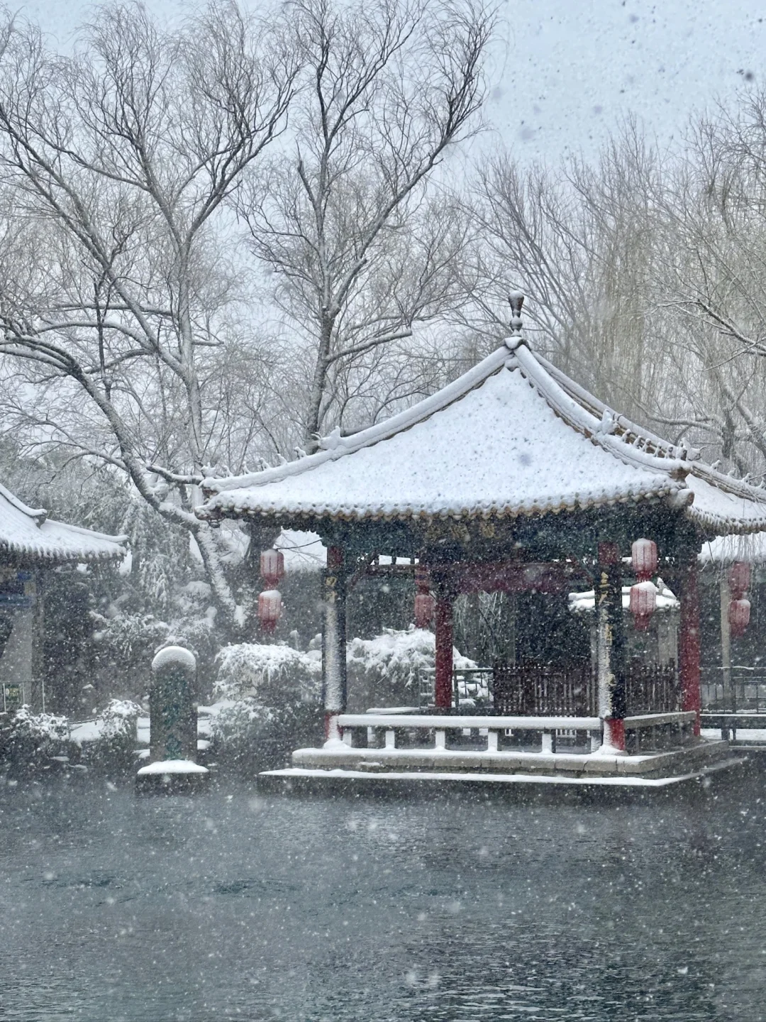 济南！雪中趵突泉杀疯了！！！！！！！！！！！！