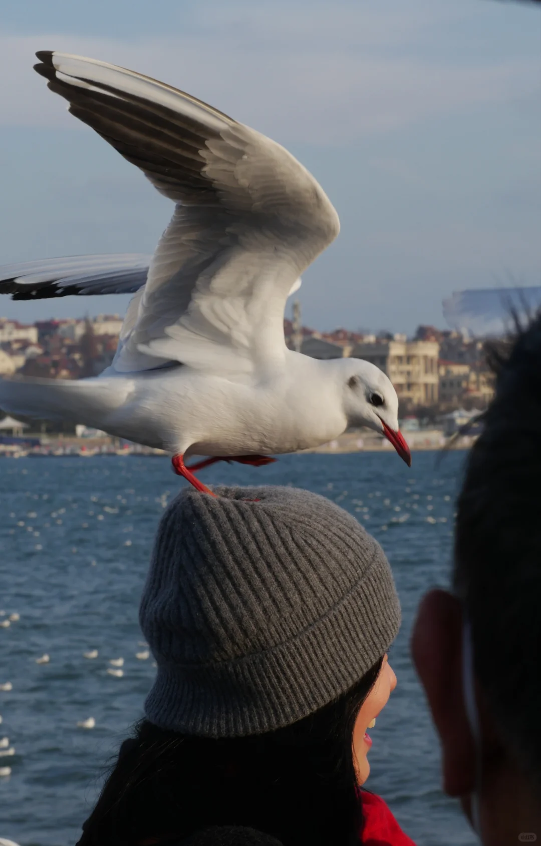 GH7+40150｜关于青岛一些拍摄