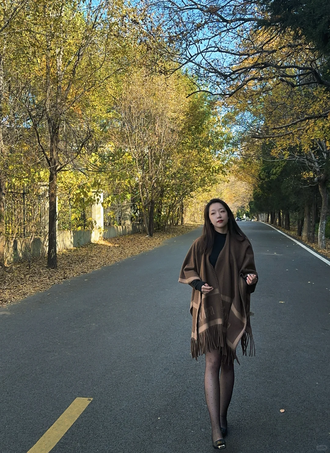 千佛山西路的晚秋🍂