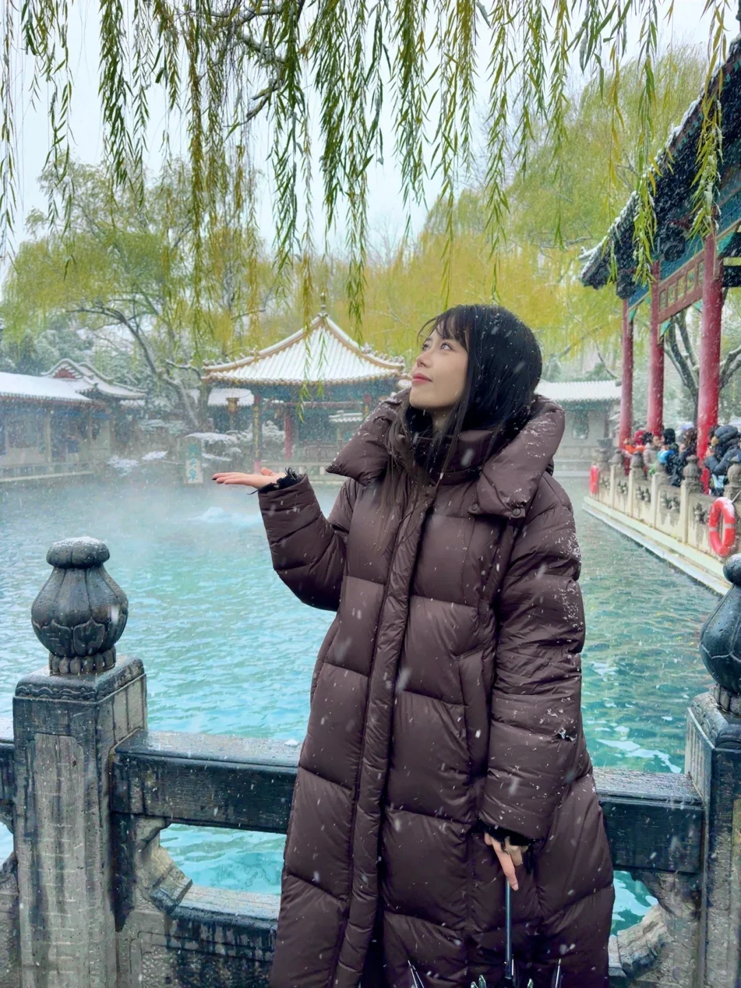 拍到了初雪的趵突泉！济南12月12暴雪实况！