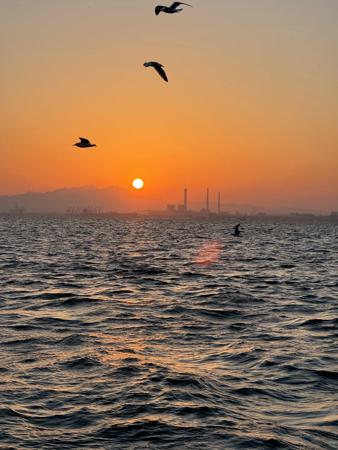 青岛轮渡⛴️与陆地失联的三十分钟