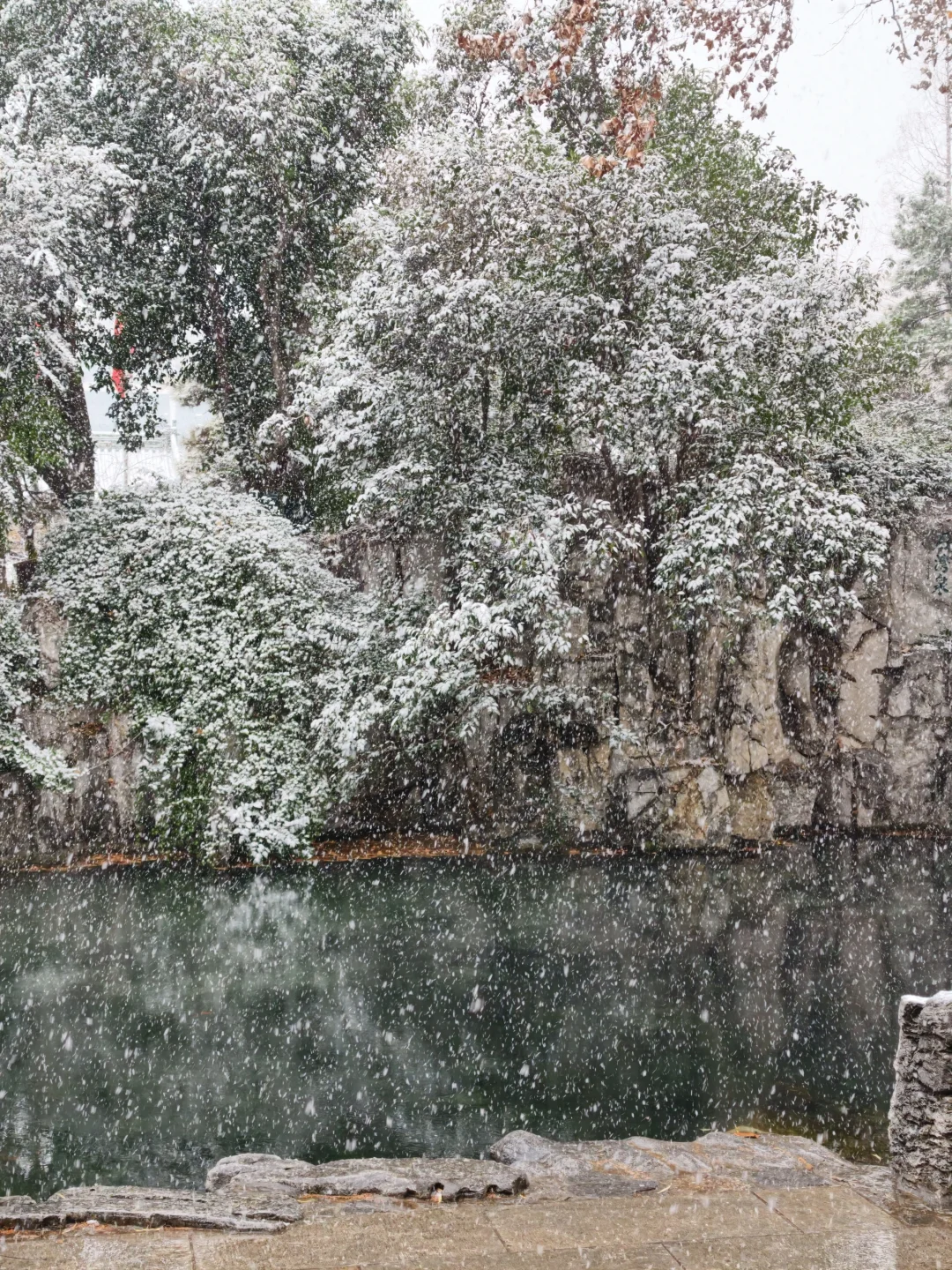 雪中趵突泉，美疯了