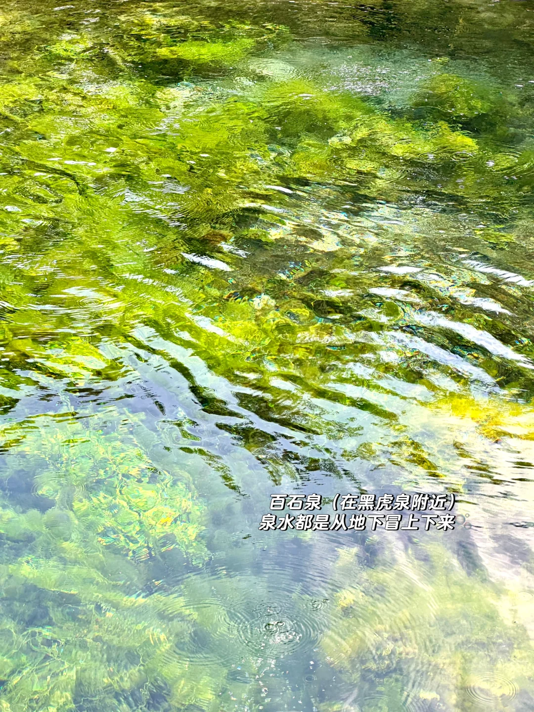 刚去完，济南两天一夜攻略🗺️