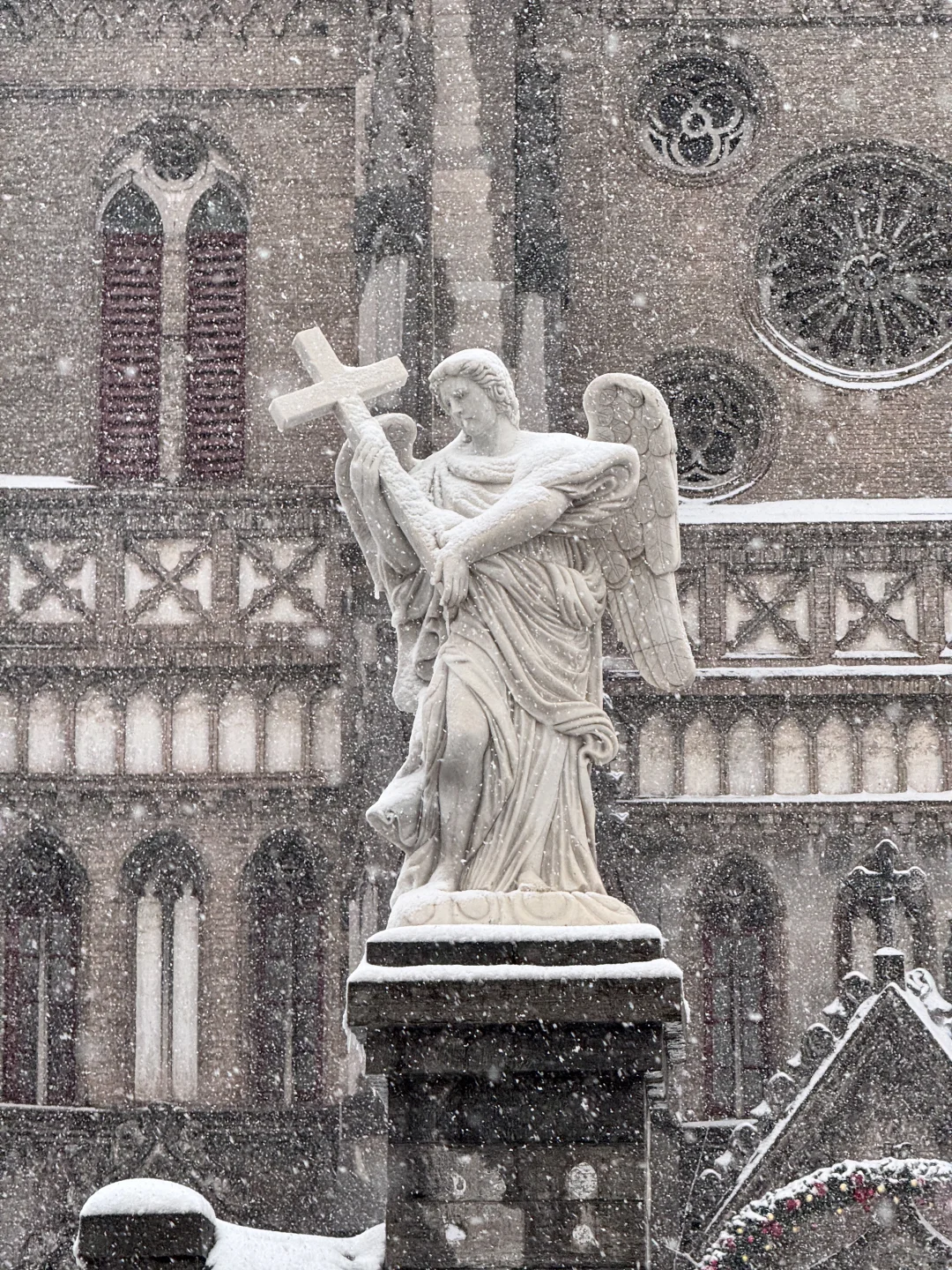 1212济南大雪实况！雪中的洪家楼教堂美呆了