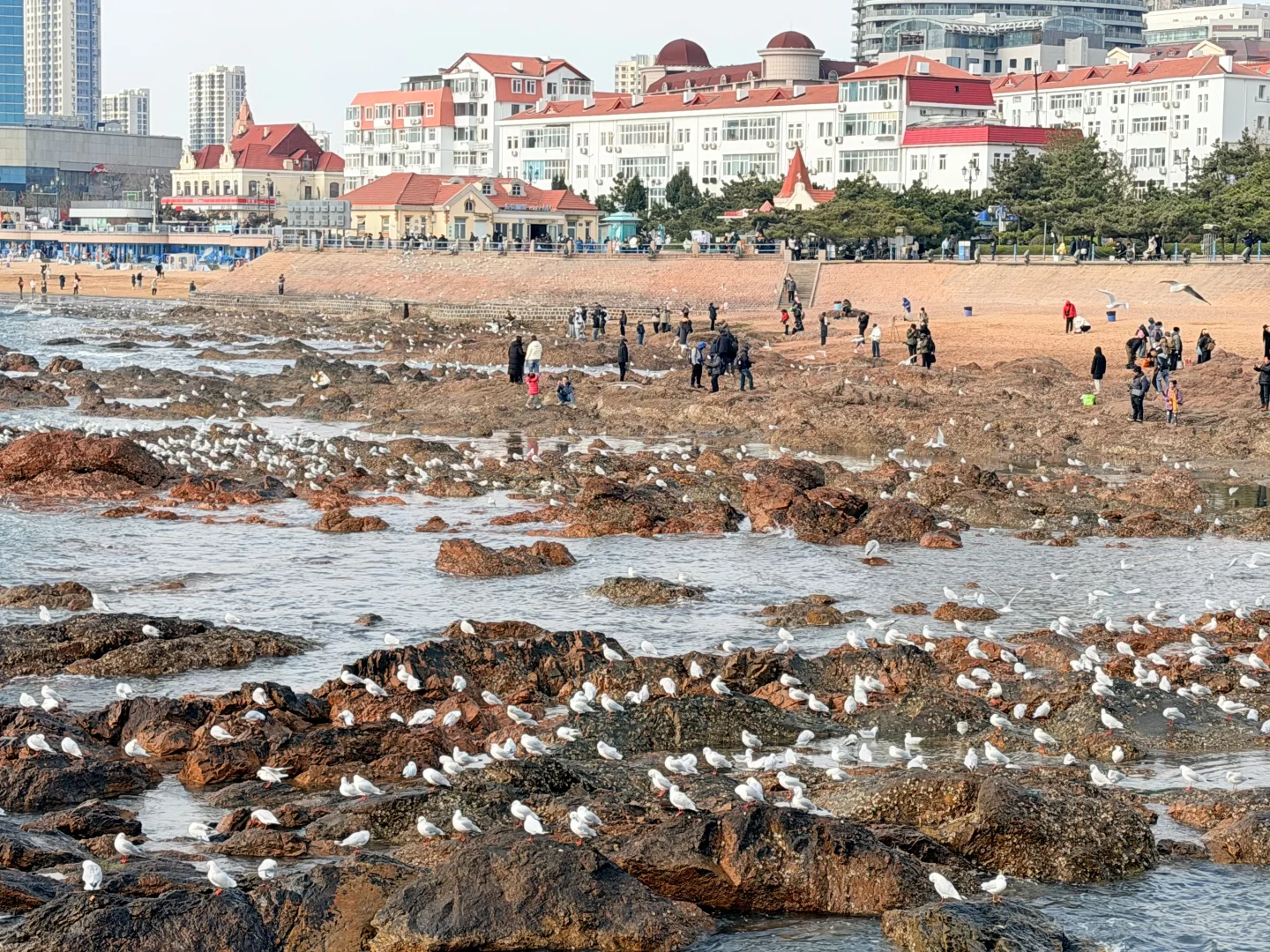 青岛三天两夜懒人路线｜老城·山海·松弛感
