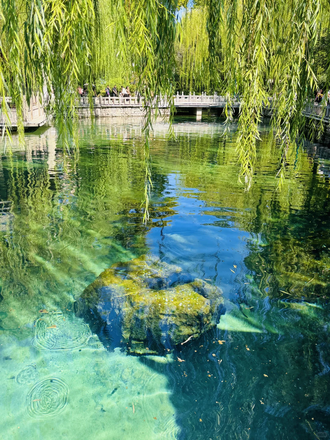 接下来的济南是这样的！泉水citywalk攻略🩵