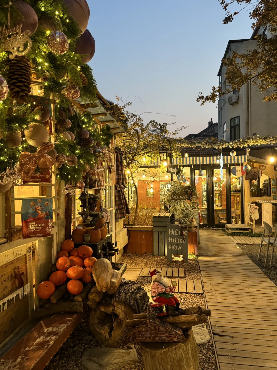 秋冬不露腿穿搭合集🌊青岛好美～下次还来！