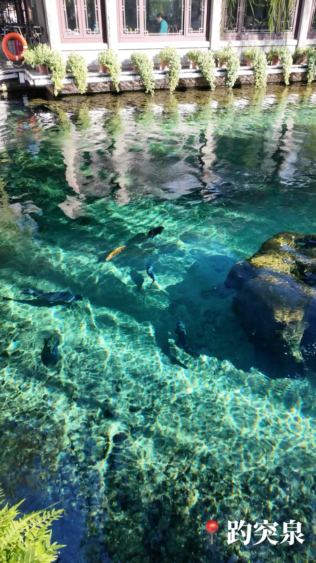 🍂济南的秋天｜泉城1天半随意citywalk