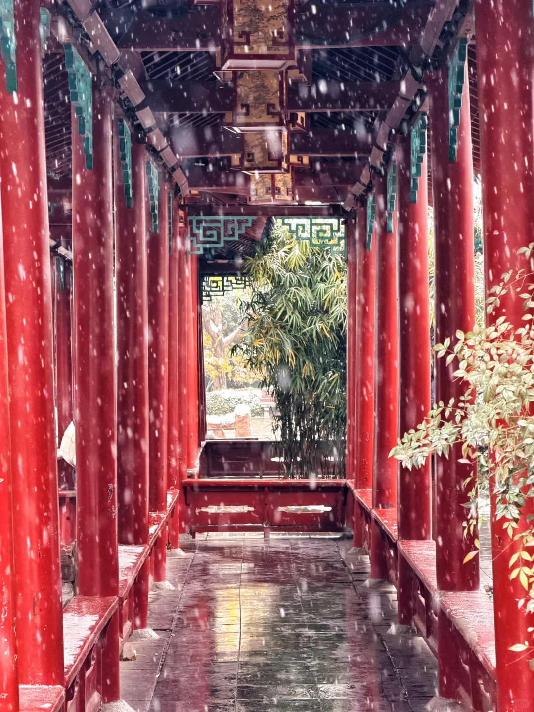 济南12.13实况，暴雪中的趵突泉已经美疯了