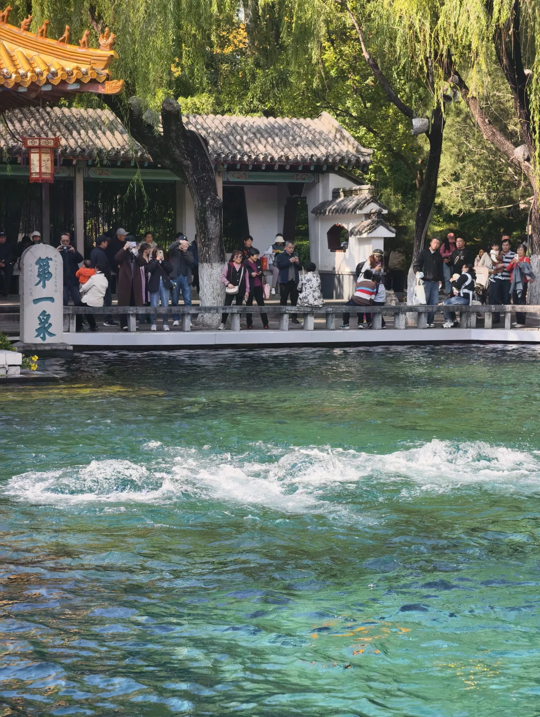 老舍没骗人秋天请到济南来看看吧