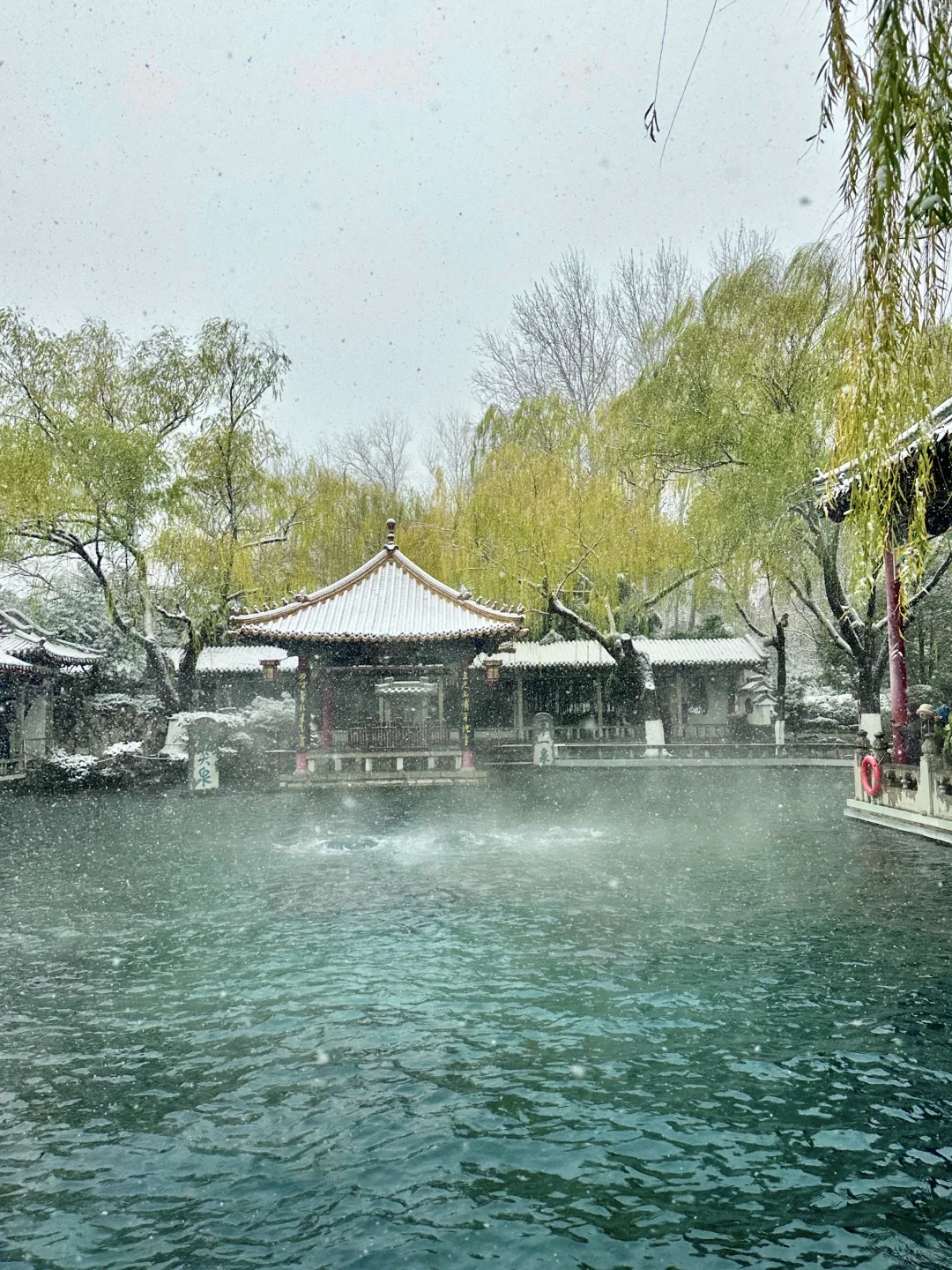 拍到了初雪的趵突泉！济南12月12暴雪实况！