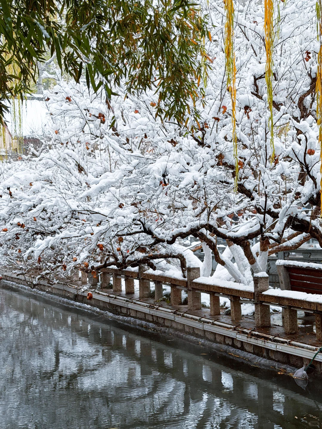 济南12.13实况，暴雪中的趵突泉已经美疯了