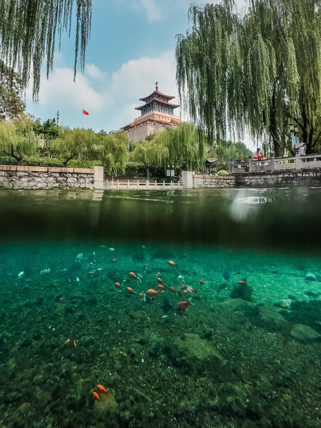 为了这18张照片📷特意去了趟济南（附机位）