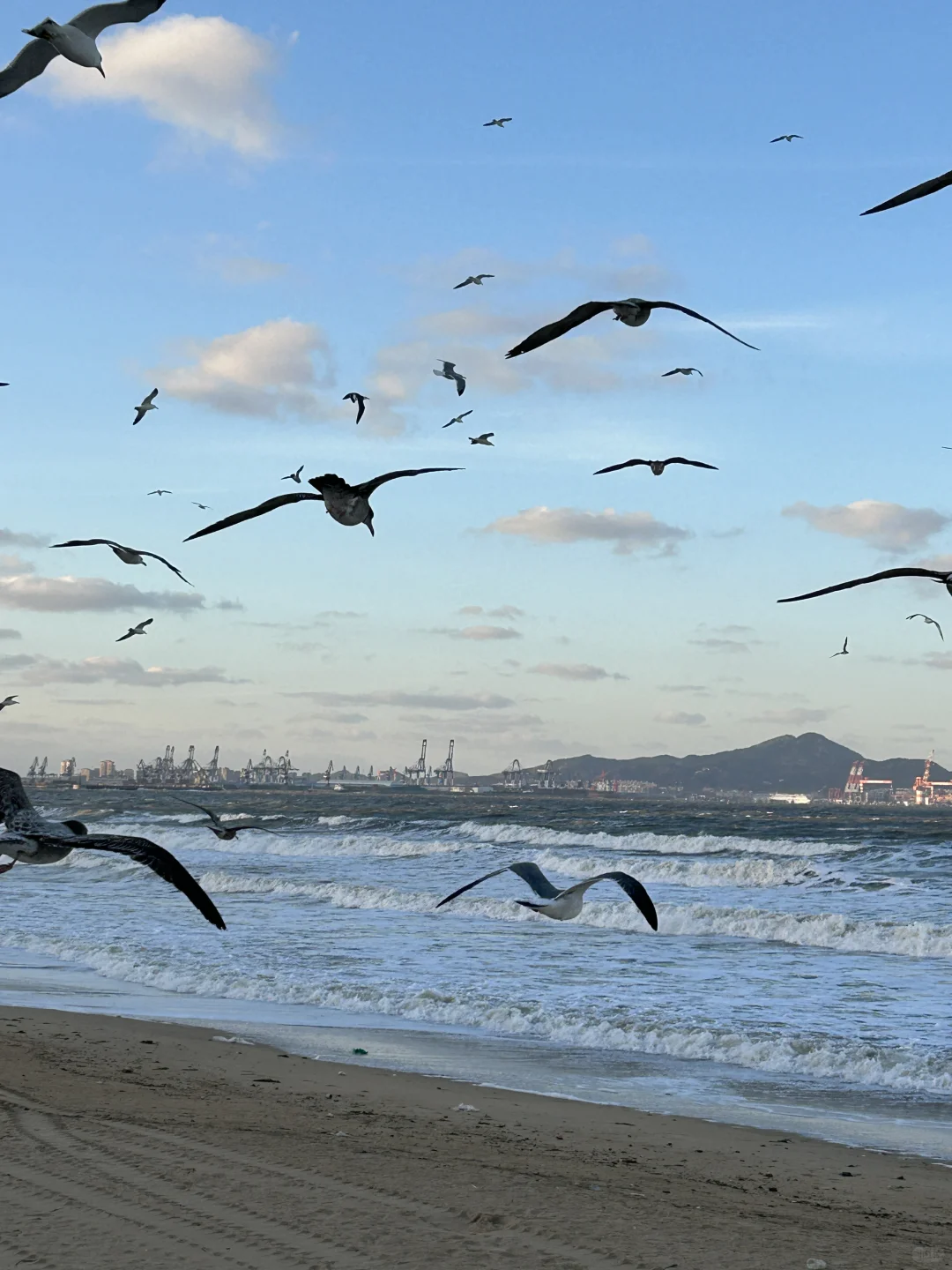 烟台！！12·11实拍！又是浪漫的一天啊