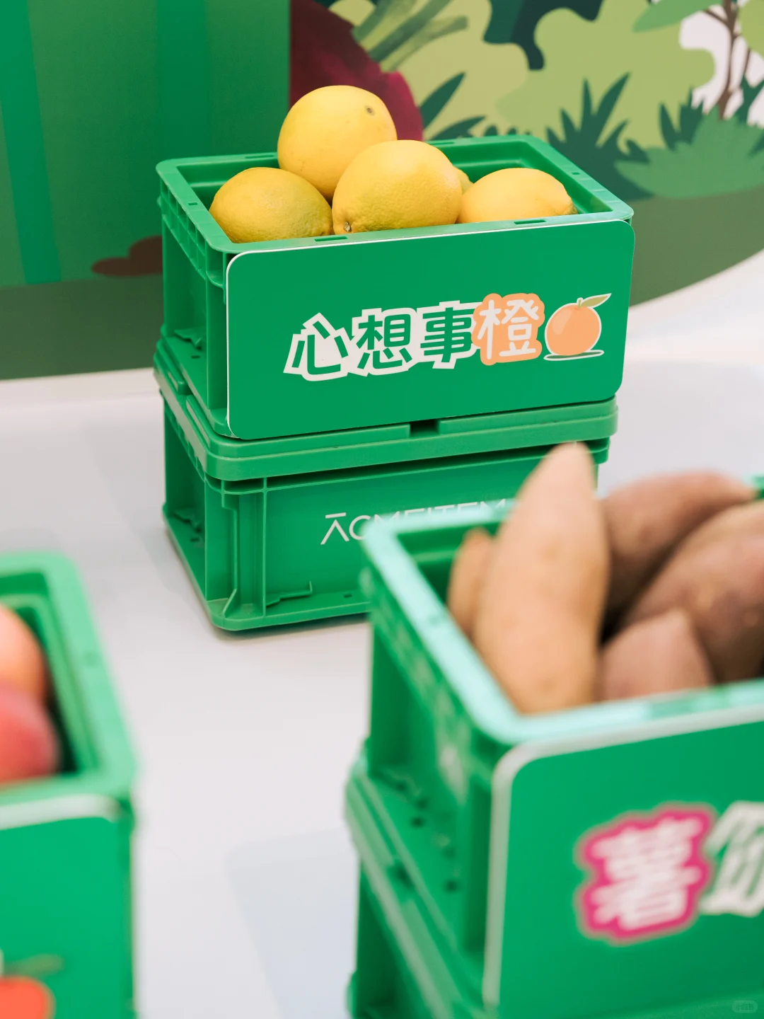 爱棵米户外补给站——青岛万象城