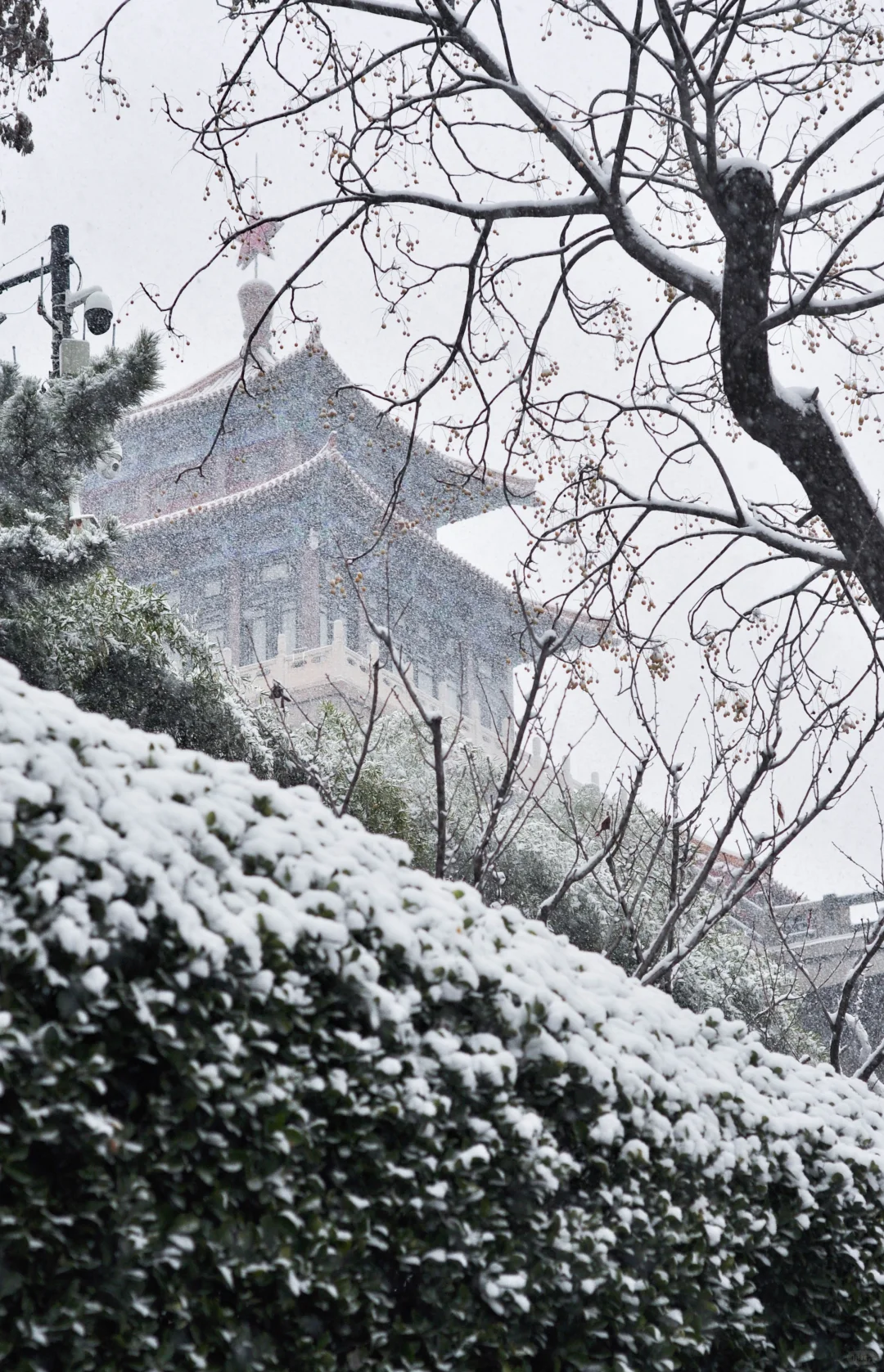 “这就是冬天的济南”