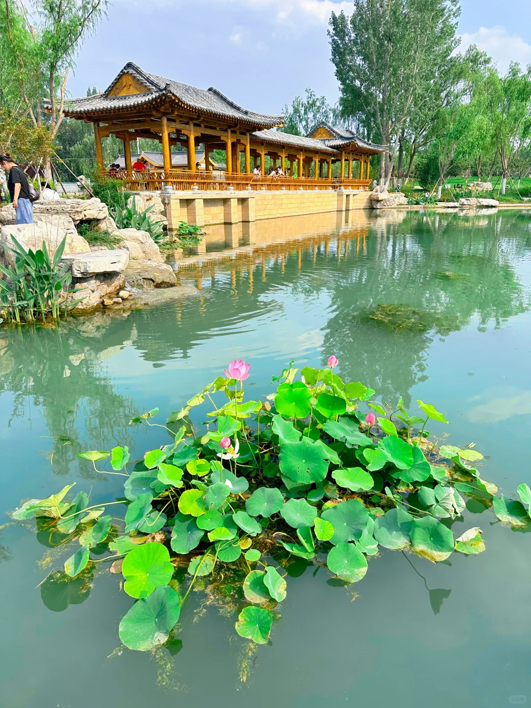 ⛲️济南“白泉”也太美了吧｜失而复得的泉水