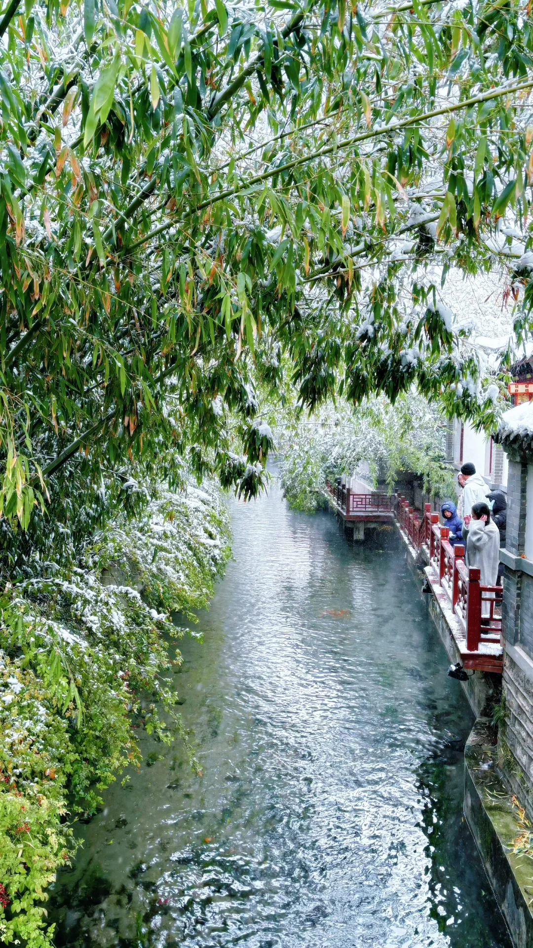 Live济南初雪！趵突泉在雪中沸腾成仙境️❄️