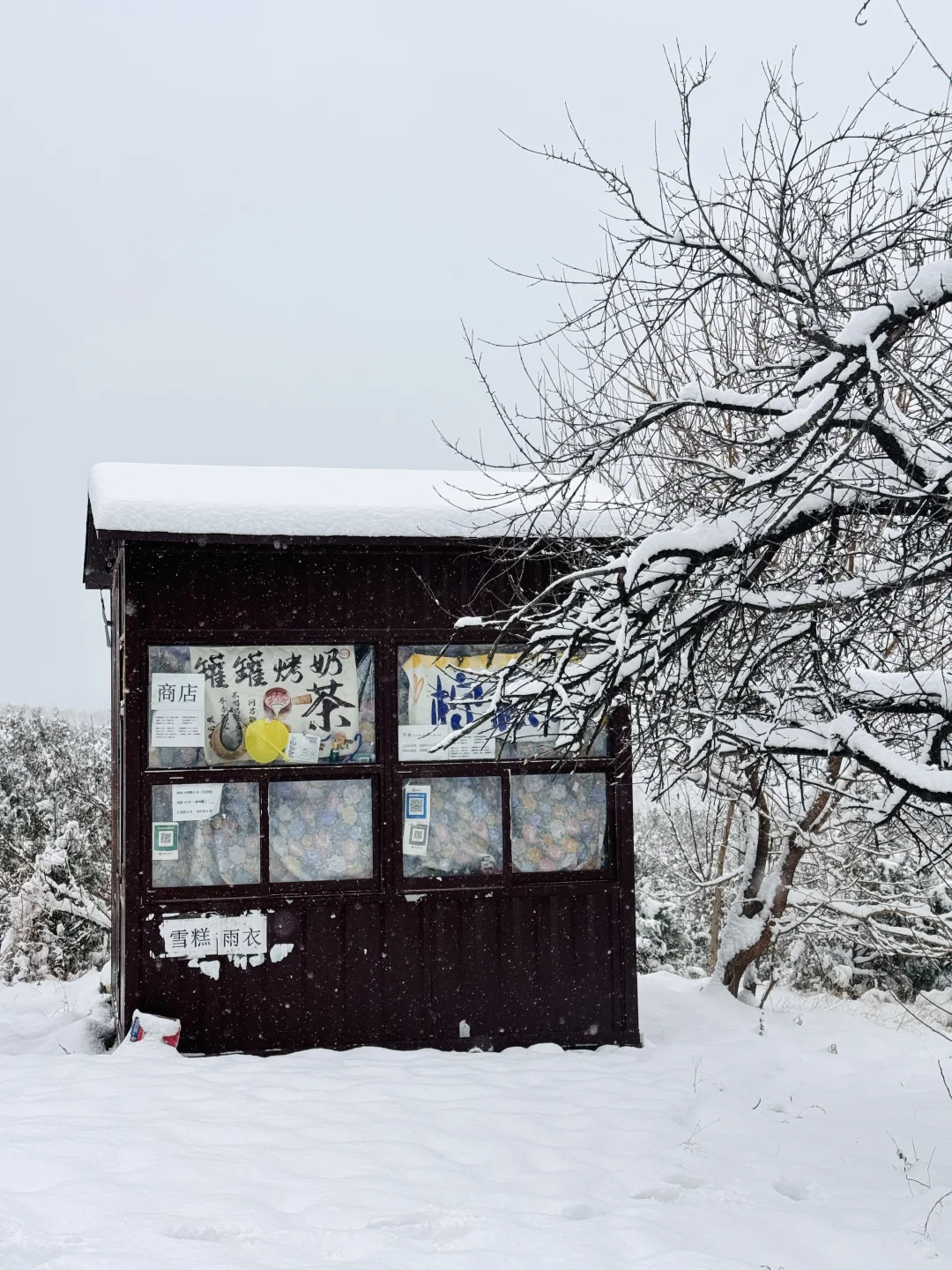 不是玉珠峰去不起，而是龙洞更有性价比
