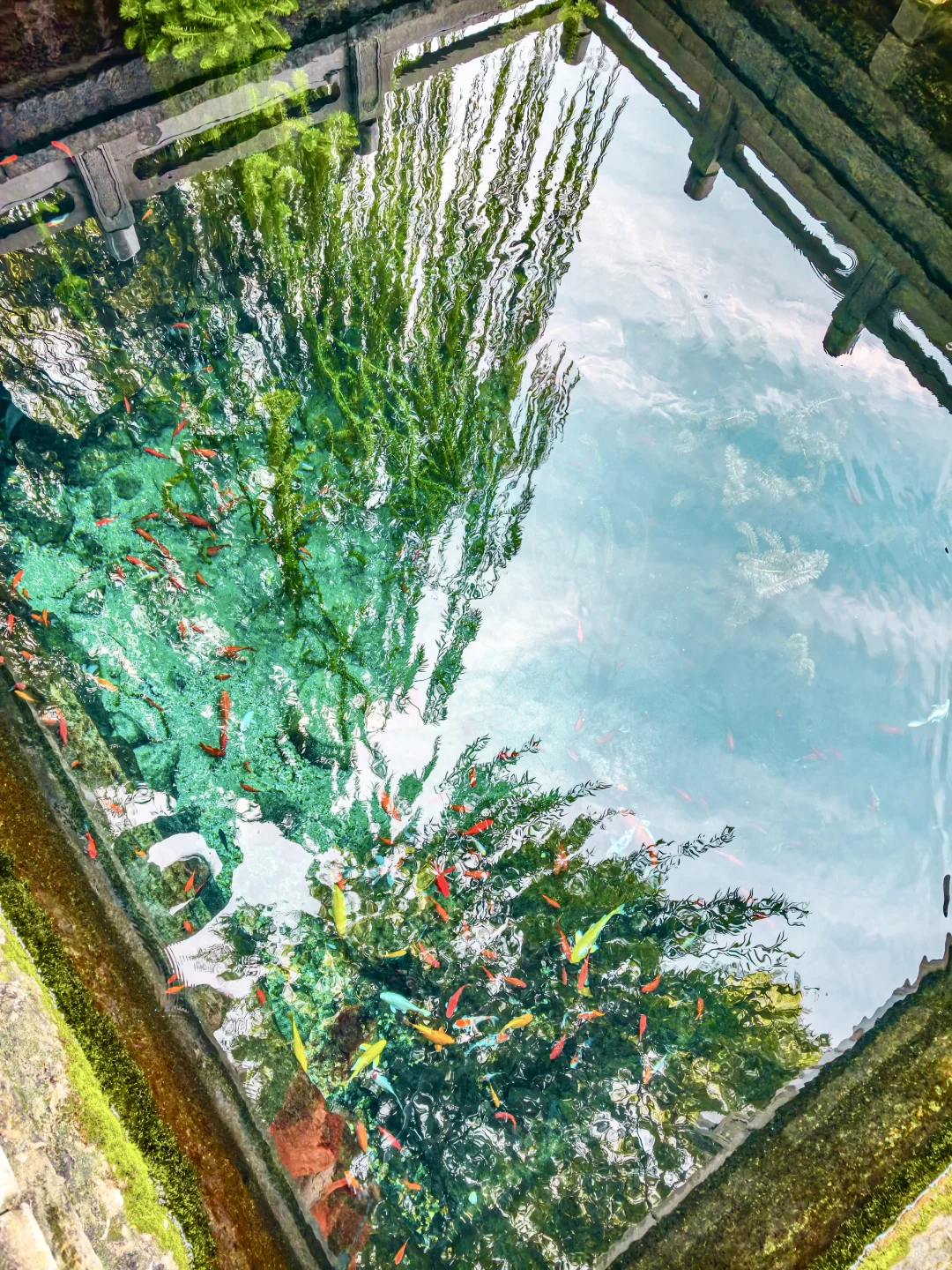 济南不只是泉城，为了这里专程去了山东❗