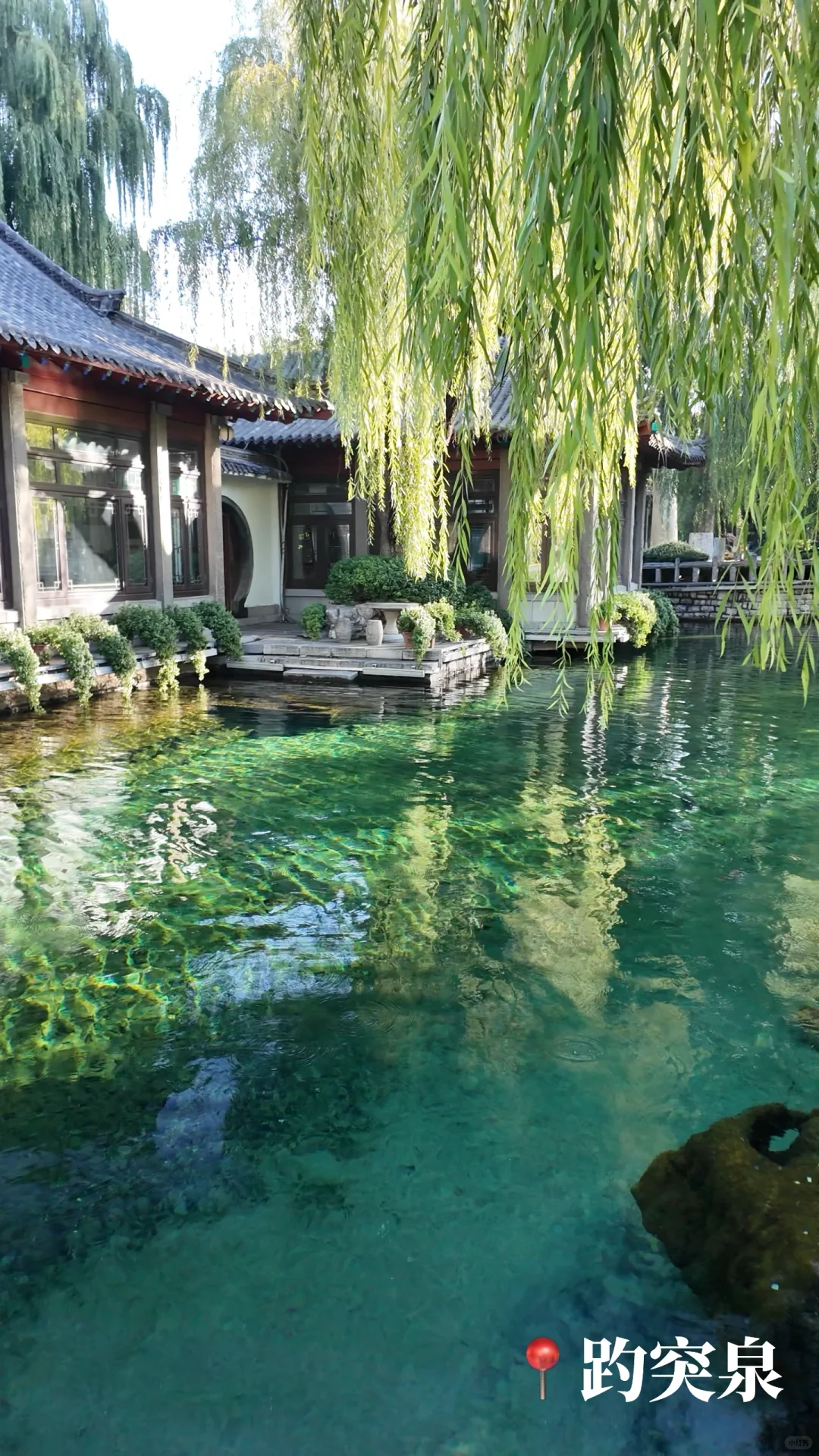 🍂济南的秋天｜泉城1天半随意citywalk