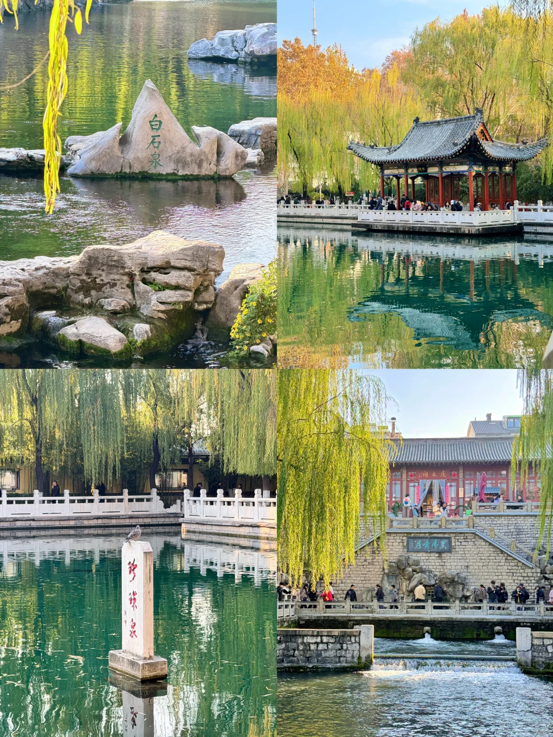 济南的冬｜两天一晚看泉攻略🫧