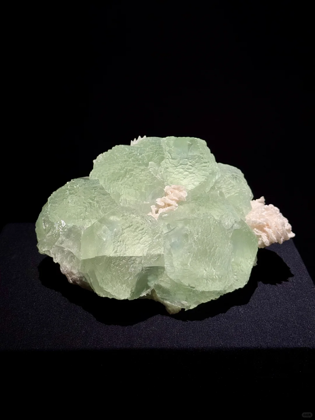 山东博物馆欠全国一个解释？？？？？？？？？？