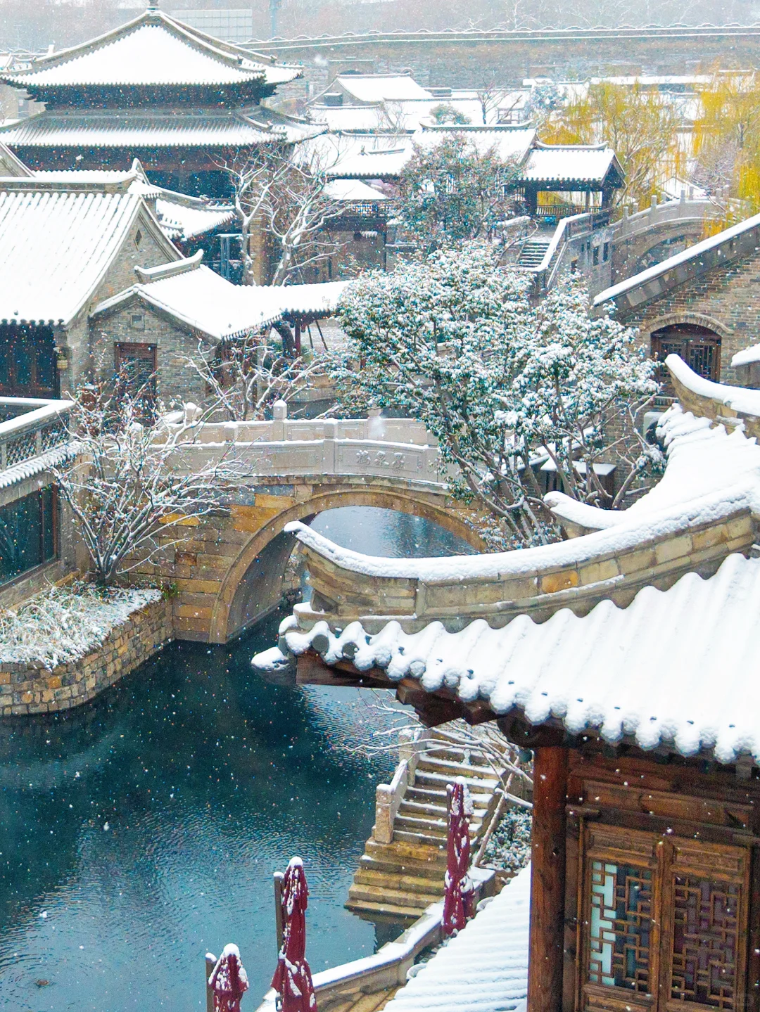 老舍没骗我❗️下雪的济南真的美疯了‼️‼️