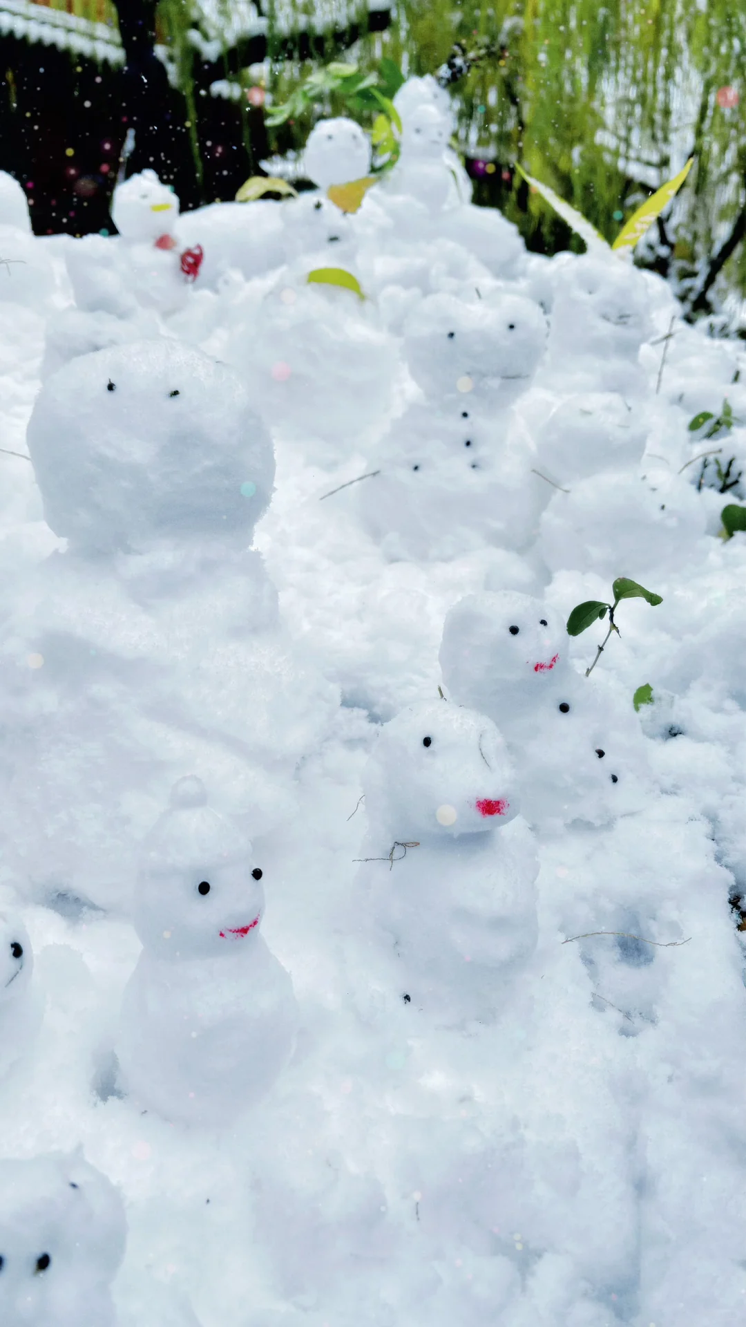 Live济南初雪！趵突泉在雪中沸腾成仙境️❄️