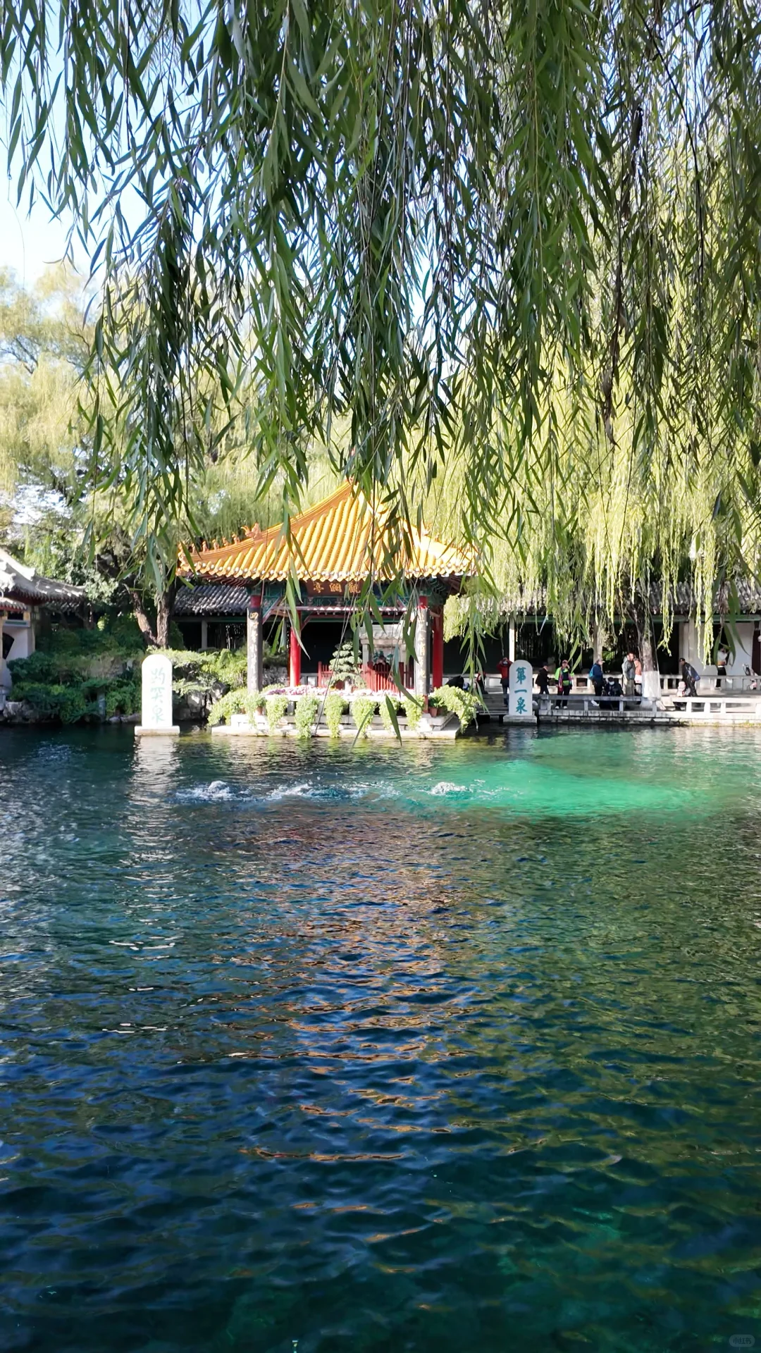 🍂济南的秋天｜泉城1天半随意citywalk