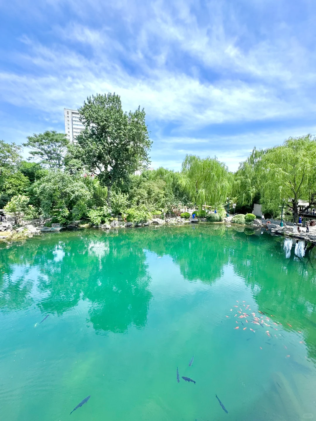 济南最chill的地方都是免费的！（Live合集）