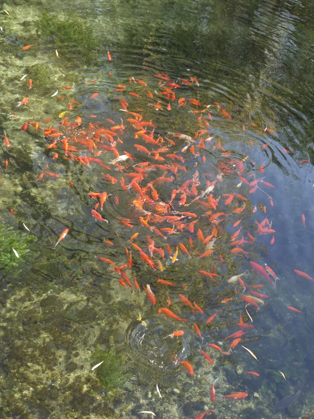 济南能量最强的地方