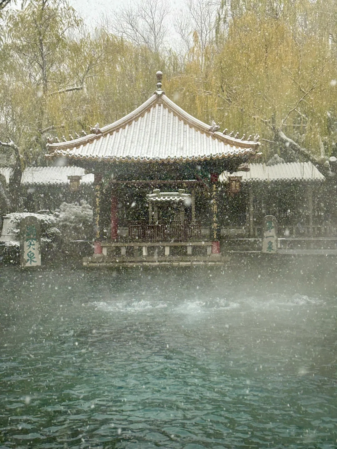 12.12趵突泉live❄️济南的初雪如约而至