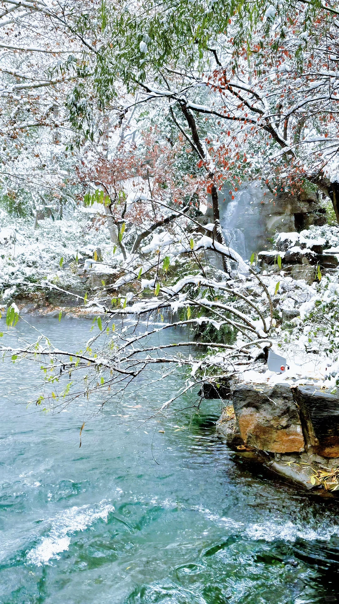 Live济南初雪！趵突泉在雪中沸腾成仙境️❄️