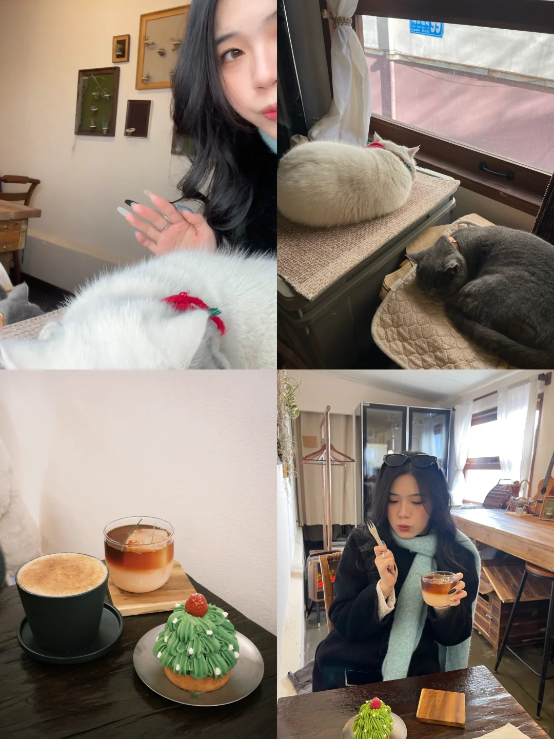 5天4夜｜3k游青岛烟台威海