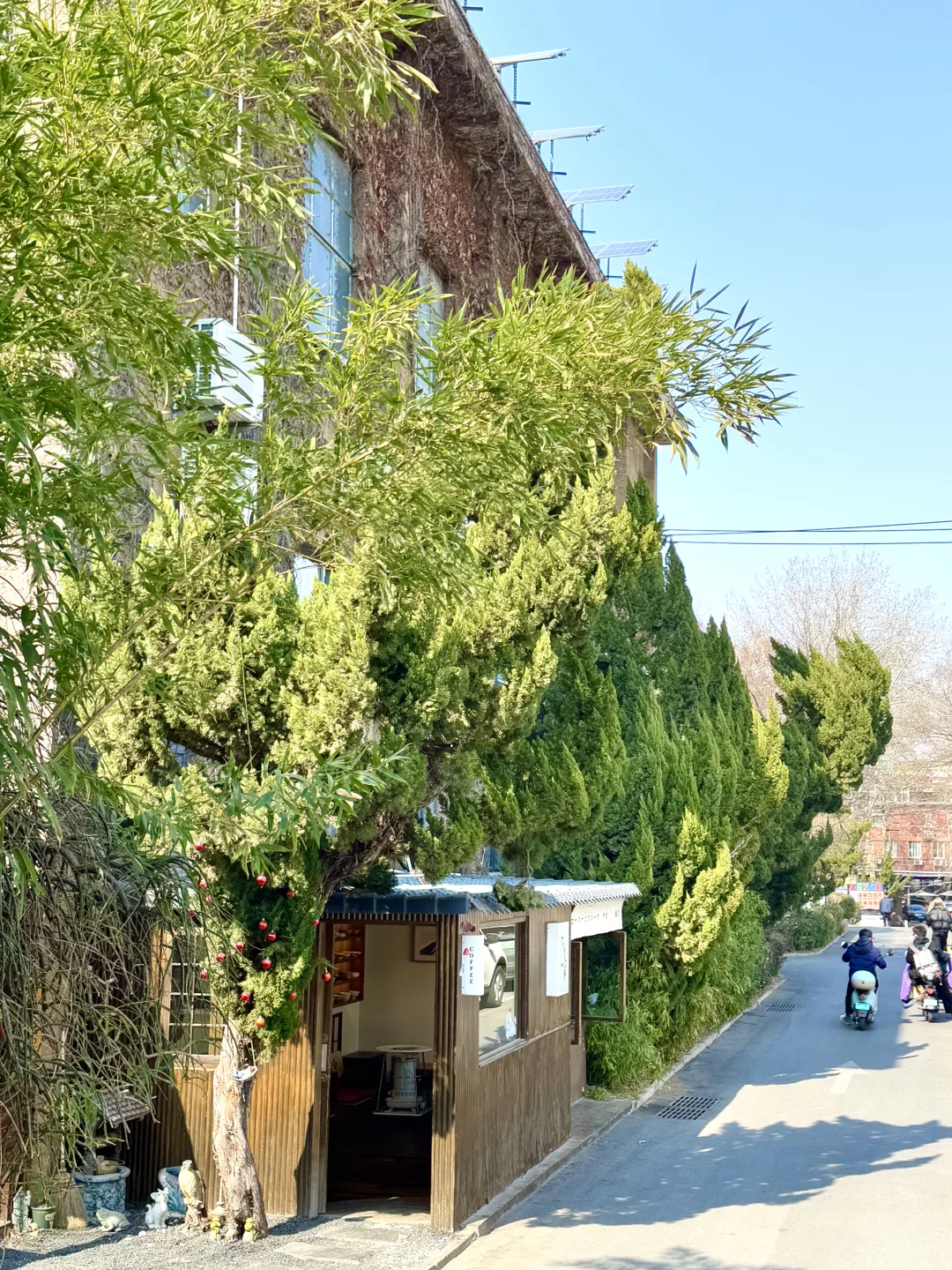 济南最chill的地方都是免费的！（Live合集）