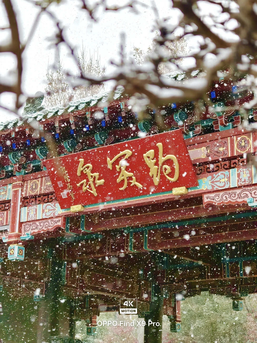 济南！！趵突泉的初雪真的杀疯了！😱