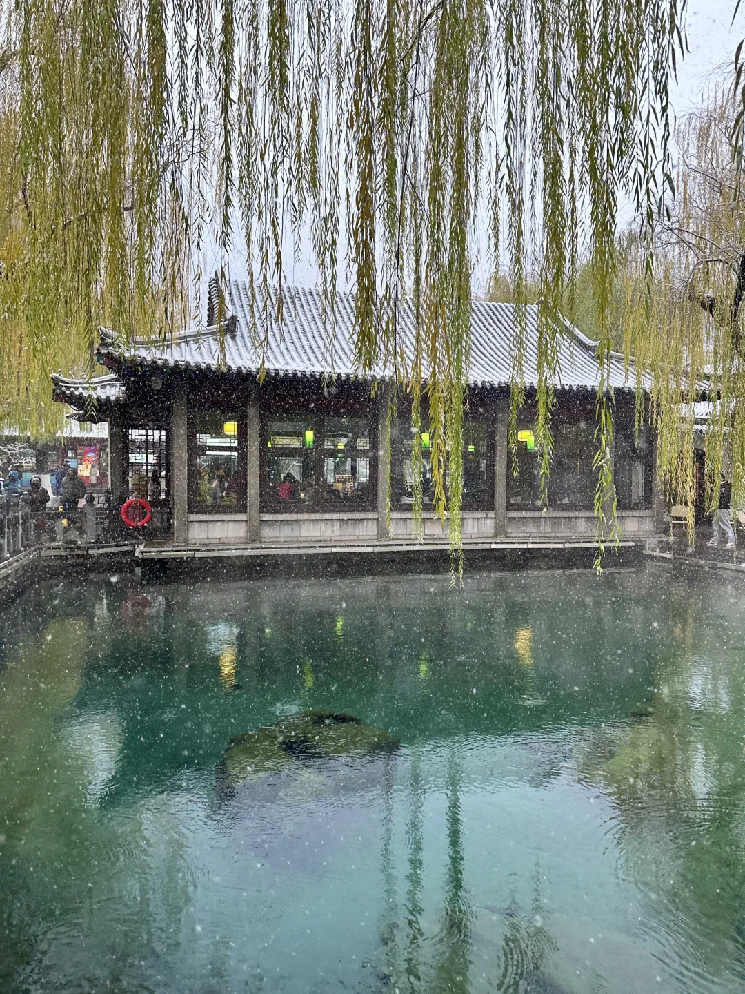 拍到了初雪的趵突泉！济南12月12暴雪实况！