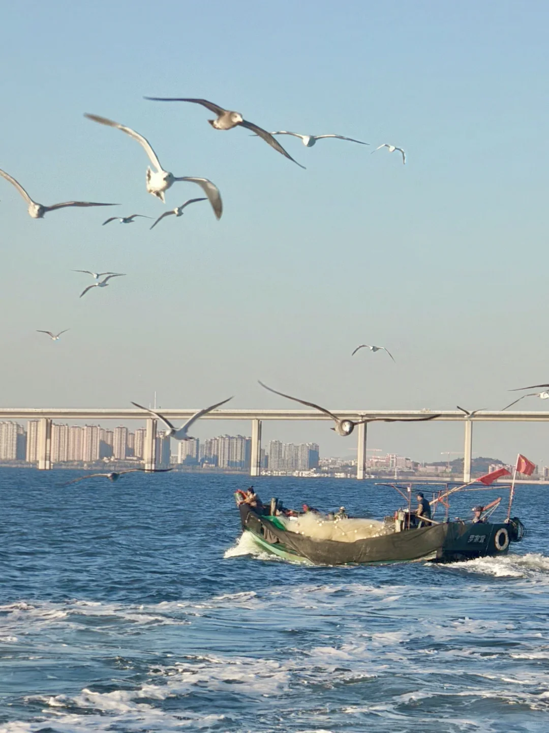 如果你只有一天时间在青岛